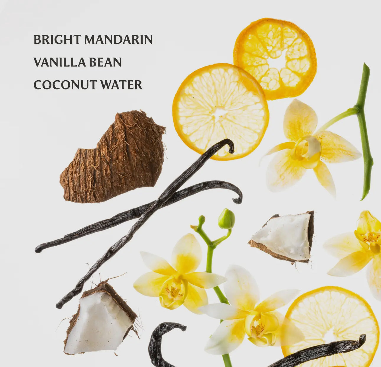 Vanilla Blossom Touchland