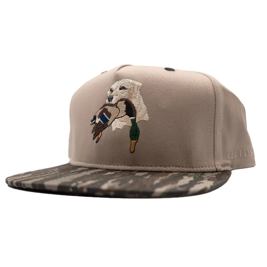 Lab with Duck Hat