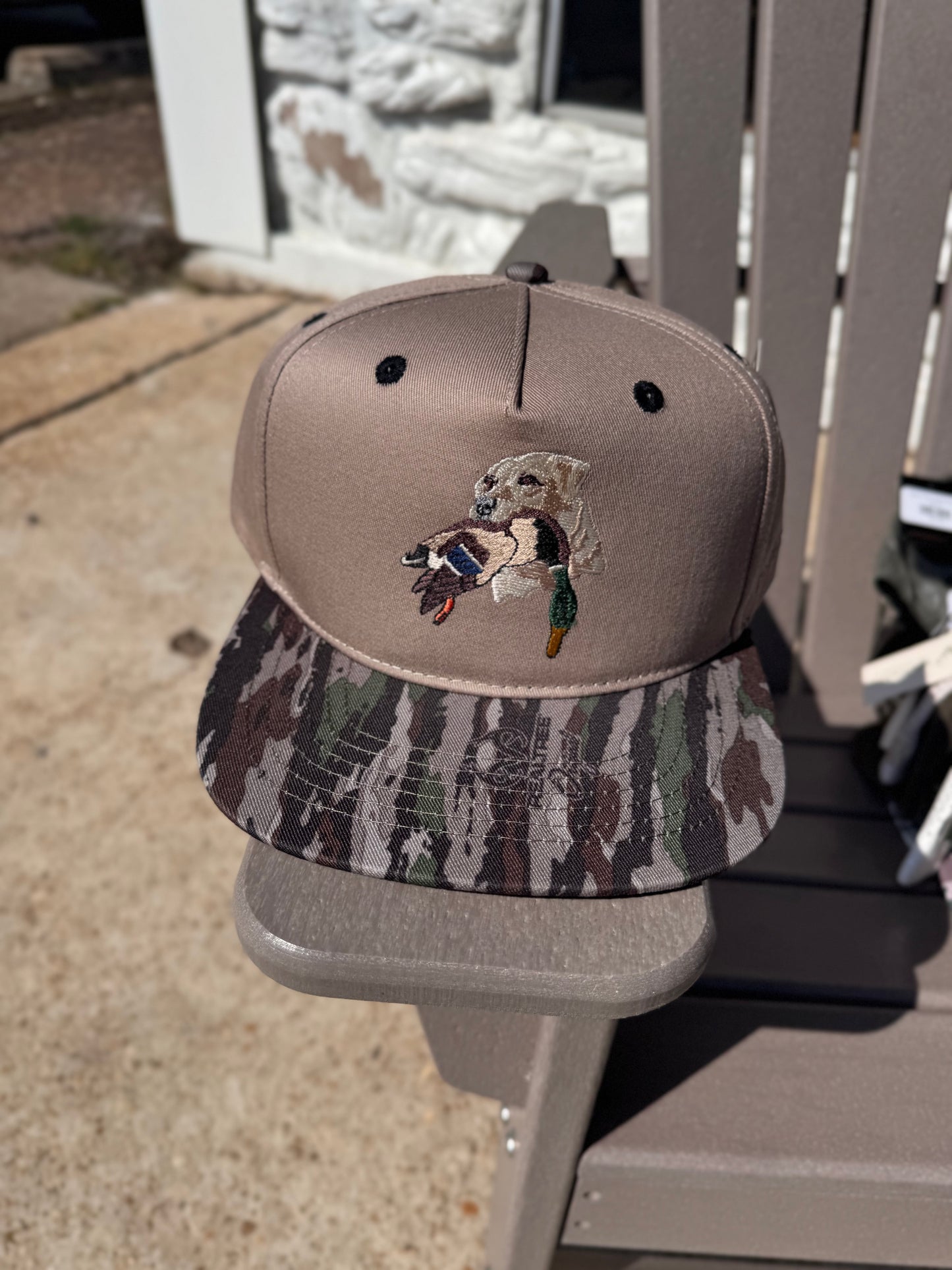 Lab with Duck Hat