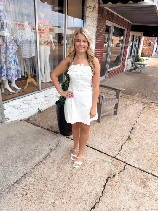 Sweet Magnolia Mini Dress