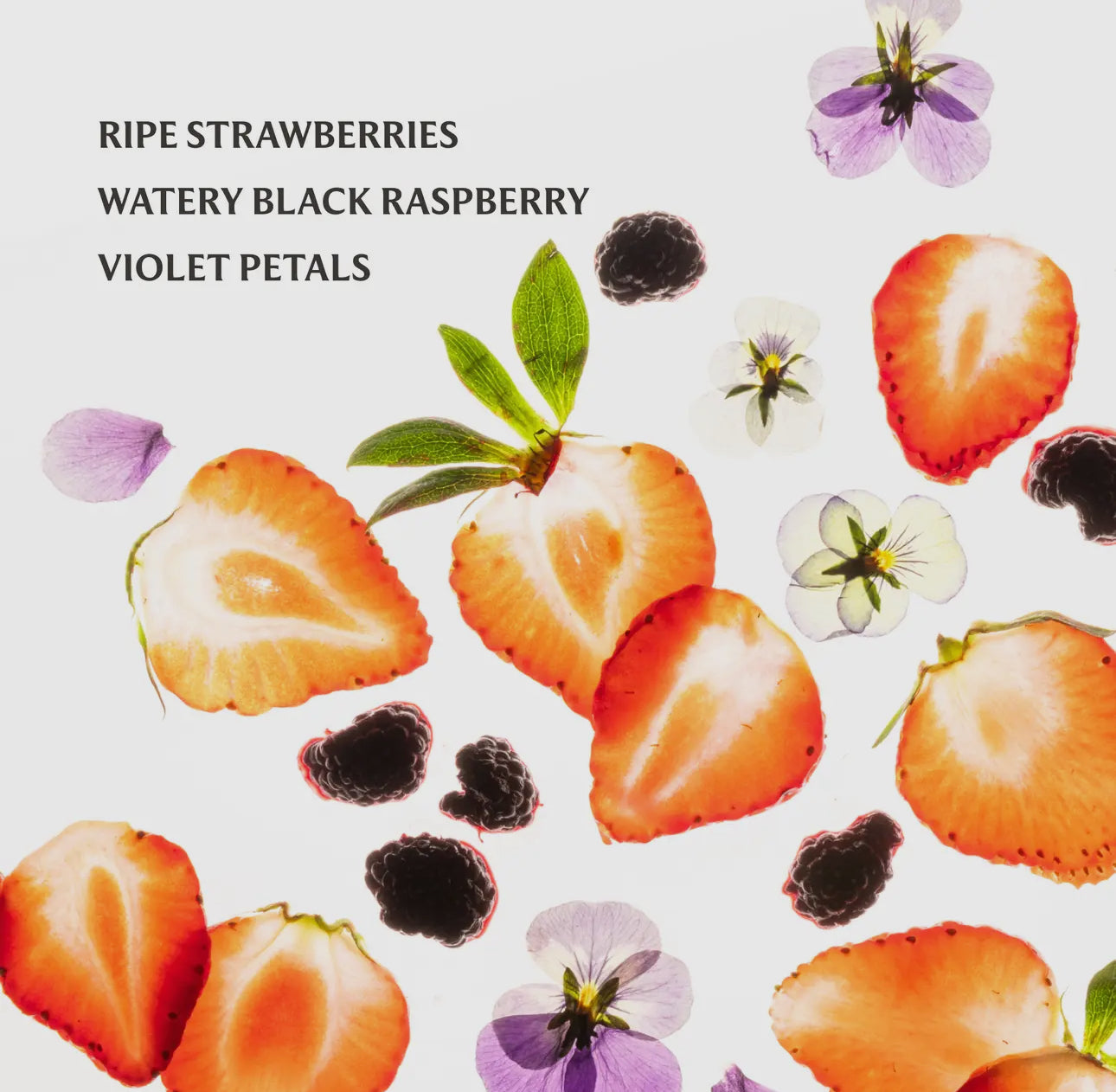 Berry Bliss Touchland